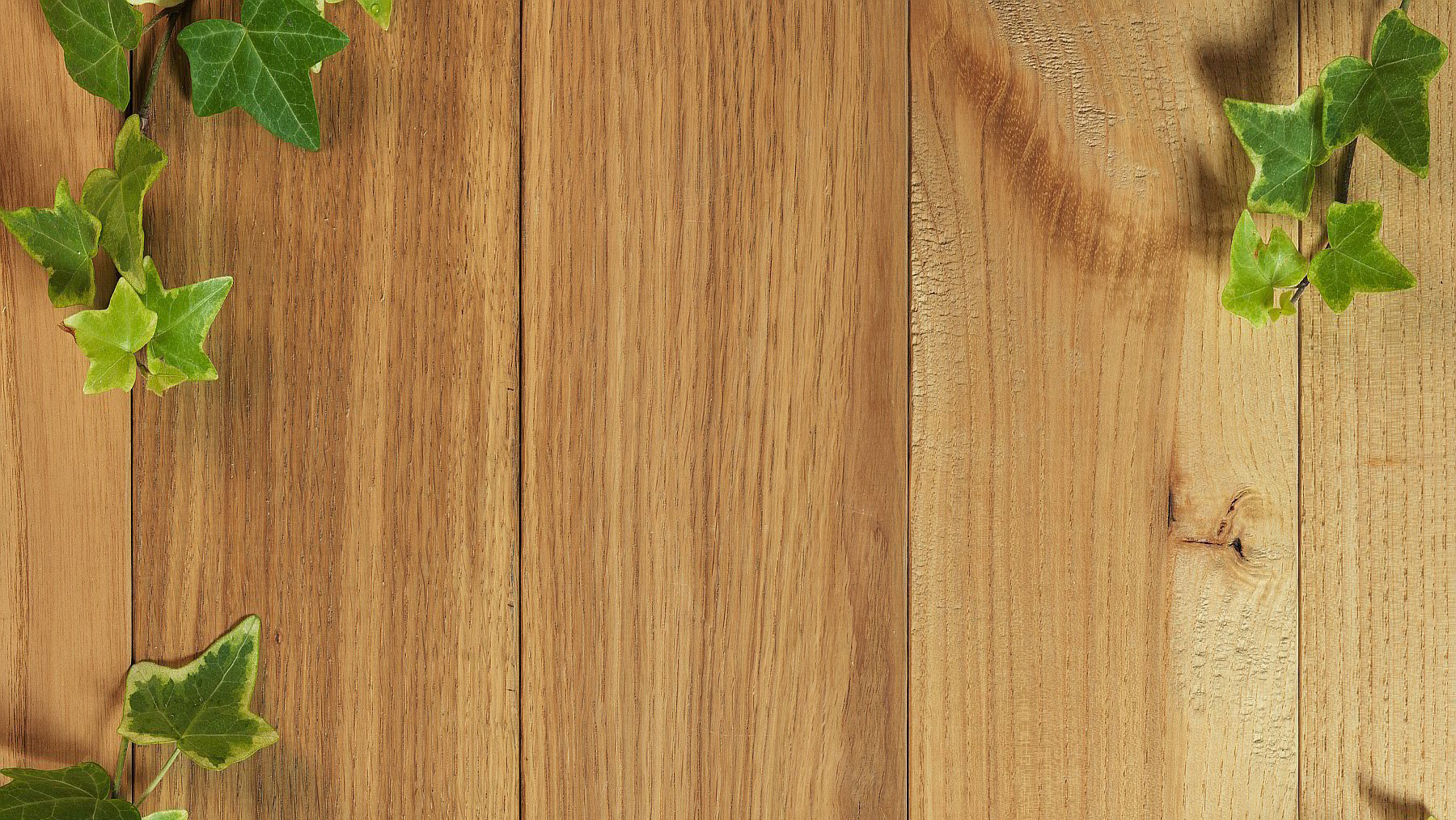 full screen background image